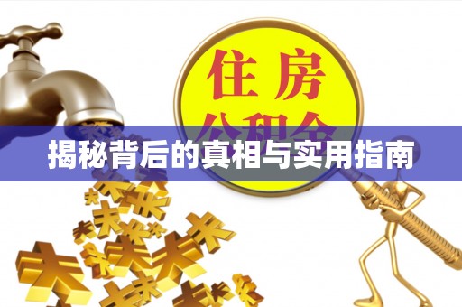 会泽揭秘背后的真相与实用指南