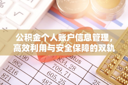 会泽公积金个人账户信息管理，高效利用与安全保障的双轨并行
