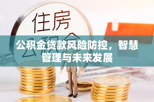 会泽公积金贷款风险防控，智慧管理与未来发展