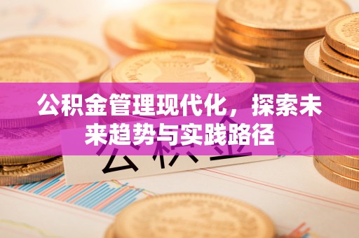 会泽公积金管理现代化，探索未来趋势与实践路径