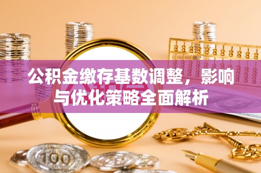会泽公积金缴存基数调整，影响与优化策略全面解析