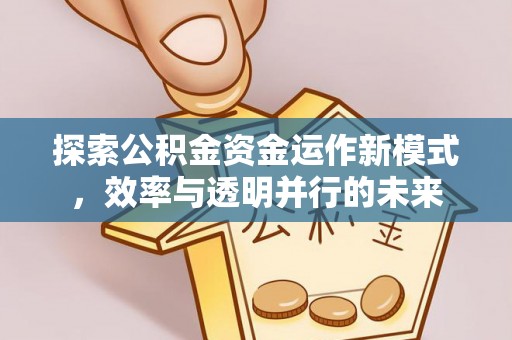 会泽探索公积金资金运作新模式，效率与透明并行的未来