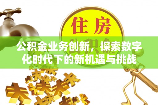 会泽公积金业务创新，探索数字化时代下的新机遇与挑战