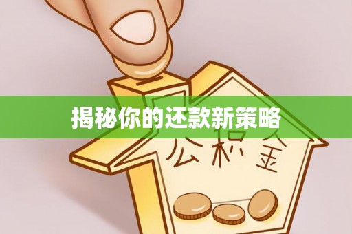 会泽揭秘你的还款新策略