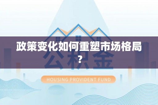 会泽政策变化如何重塑市场格局？