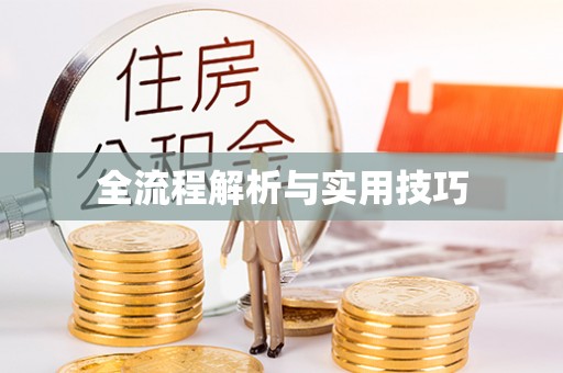 会泽全流程解析与实用技巧