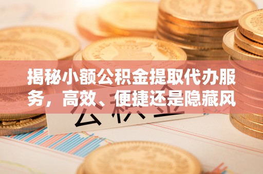 会泽揭秘小额公积金提取代办服务，高效、便捷还是隐藏风险？