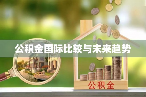 会泽公积金国际比较与未来趋势