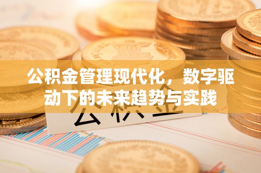 会泽公积金管理现代化，数字驱动下的未来趋势与实践