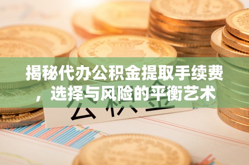 会泽揭秘代办公积金提取手续费，选择与风险的平衡艺术