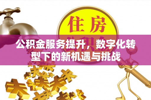 会泽公积金服务提升，数字化转型下的新机遇与挑战
