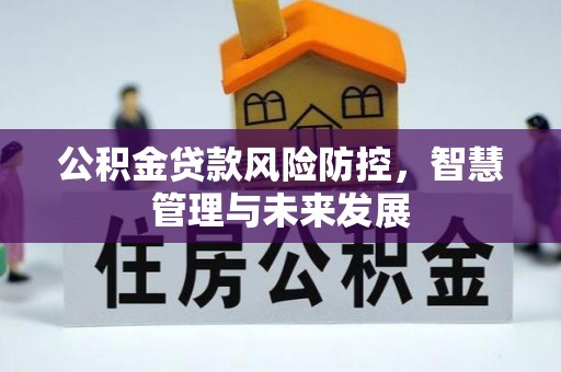 会泽公积金贷款风险防控，智慧管理与未来发展
