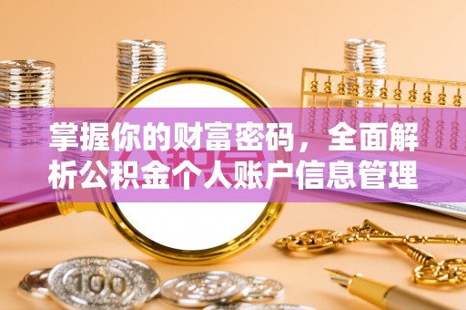 会泽掌握你的财富密码，全面解析公积金个人账户信息管理与优化