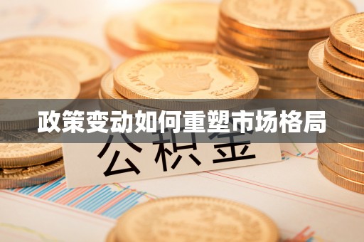 会泽政策变动如何重塑市场格局