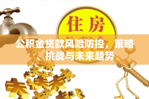 会泽公积金贷款风险防控，策略、挑战与未来趋势