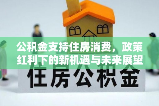 会泽公积金支持住房消费，政策红利下的新机遇与未来展望