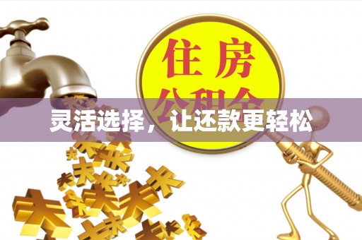会泽灵活选择，让还款更轻松