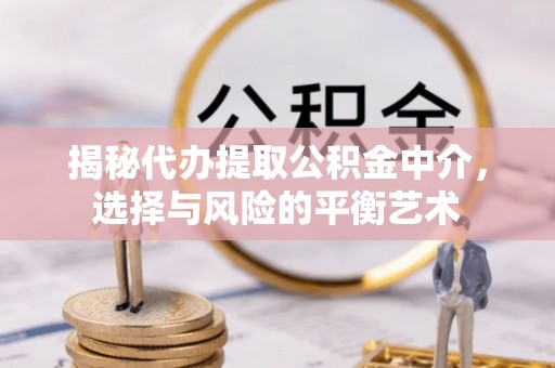 会泽揭秘代办提取公积金中介，选择与风险的平衡艺术