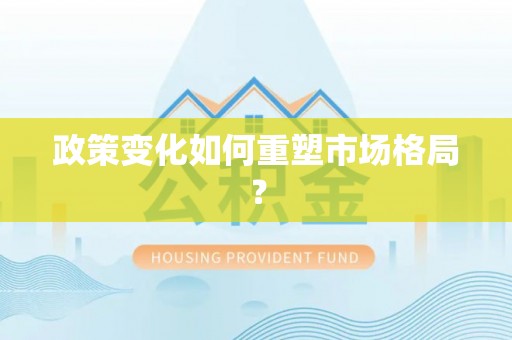 会泽政策变化如何重塑市场格局？