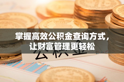 会泽掌握高效公积金查询方式，让财富管理更轻松