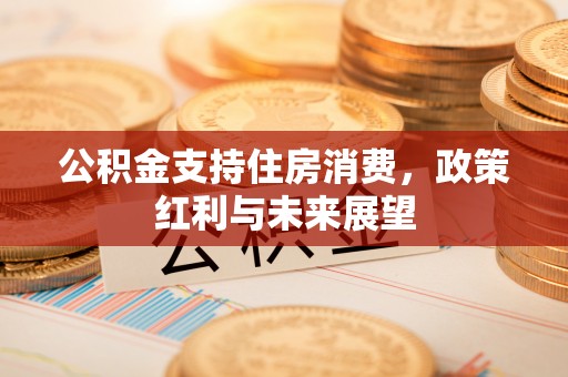 会泽公积金支持住房消费，政策红利与未来展望