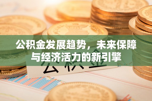 会泽公积金发展趋势，未来保障与经济活力的新引擎