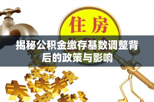 会泽揭秘公积金缴存基数调整背后的政策与影响