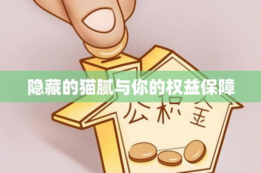 会泽隐藏的猫腻与你的权益保障