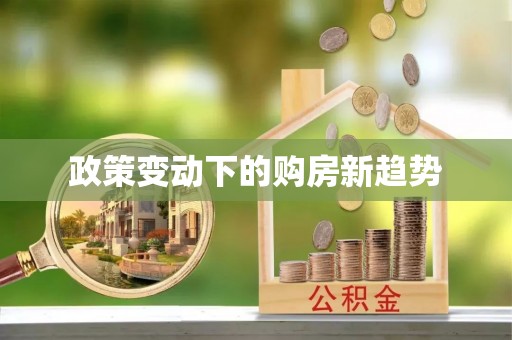 会泽政策变动下的购房新趋势