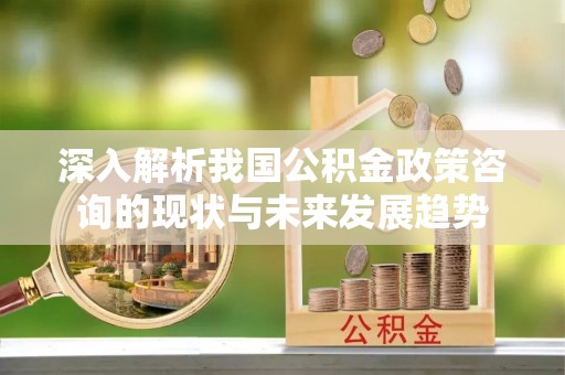 会泽深入解析我国公积金政策咨询的现状与未来发展趋势