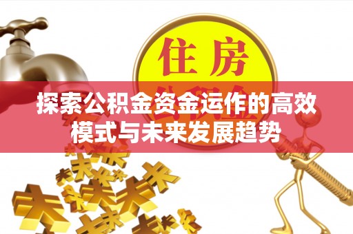 会泽探索公积金资金运作的高效模式与未来发展趋势