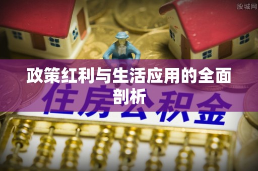 会泽政策红利与生活应用的全面剖析
