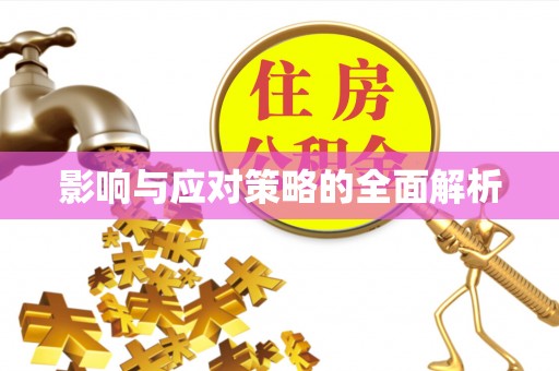 会泽影响与应对策略的全面解析