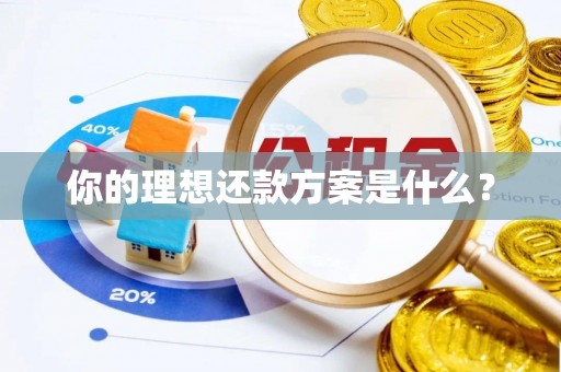 会泽你的理想还款方案是什么？