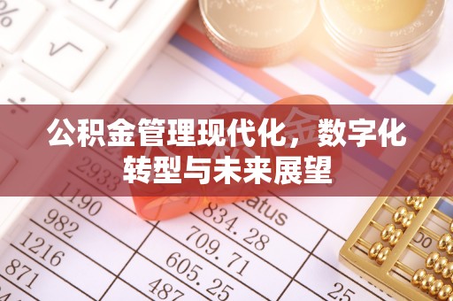 会泽公积金管理现代化，数字化转型与未来展望