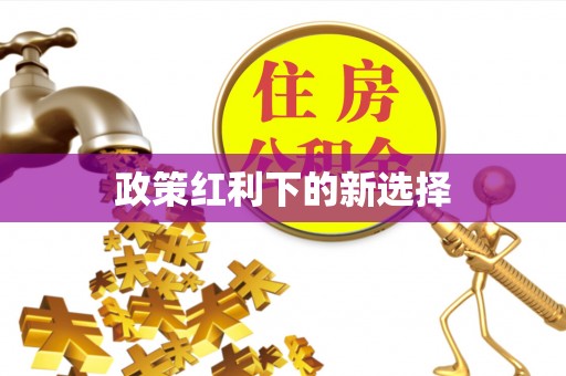 会泽政策红利下的新选择