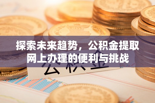 会泽探索未来趋势，公积金提取网上办理的便利与挑战
