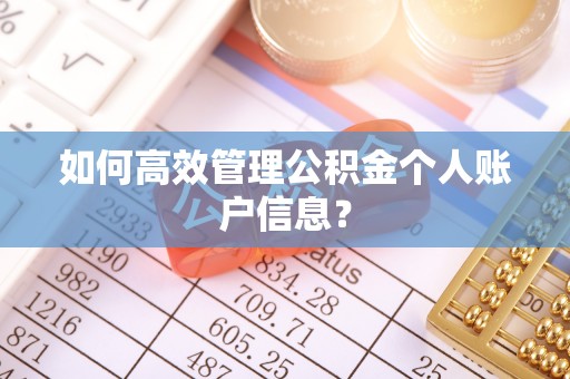会泽如何高效管理公积金个人账户信息？