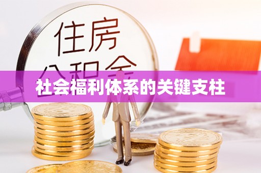 会泽社会福利体系的关键支柱