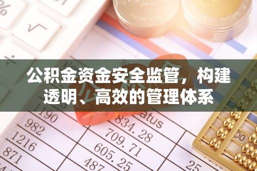 会泽公积金资金安全监管，构建透明、高效的管理体系