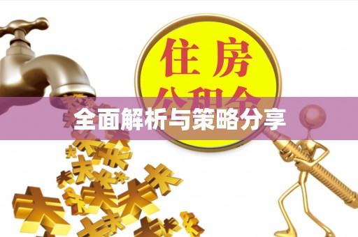 会泽全面解析与策略分享