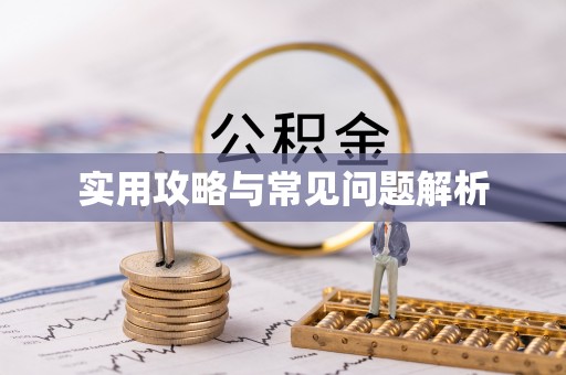 会泽实用攻略与常见问题解析