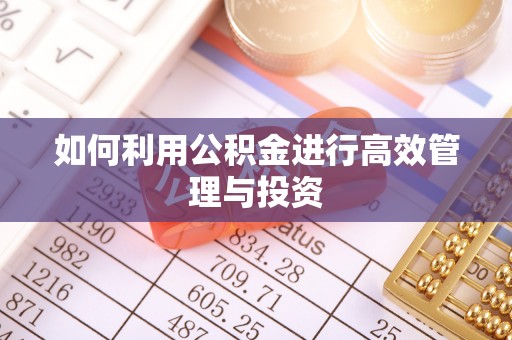 会泽如何利用公积金进行高效管理与投资