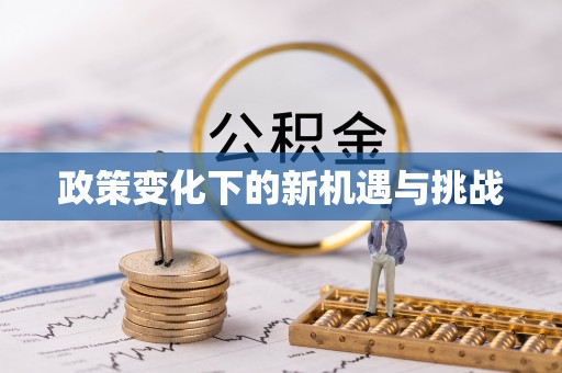 会泽政策变化下的新机遇与挑战