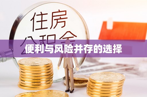 会泽便利与风险并存的选择