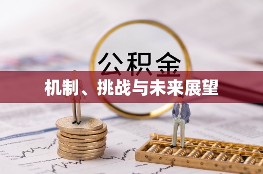 会泽机制、挑战与未来展望