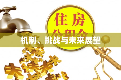 会泽机制、挑战与未来展望
