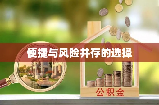 会泽便捷与风险并存的选择